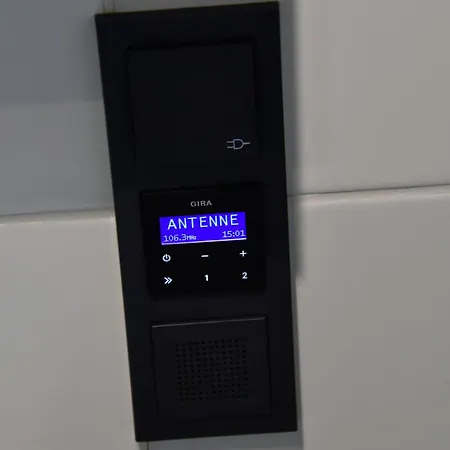 Bergluft אלטנאו