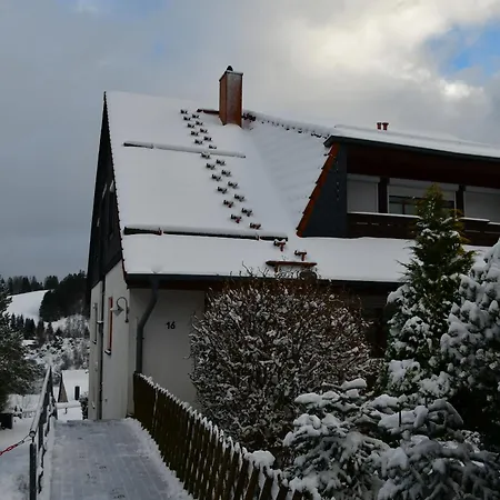 Bergluft * Altenau (Lower-Saxony)